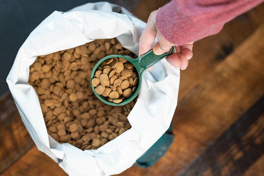 Imagenes de Pet Food Bag descubre bancos de fotos ilustraciones vectores y videos de 23 780 Adobe Stock