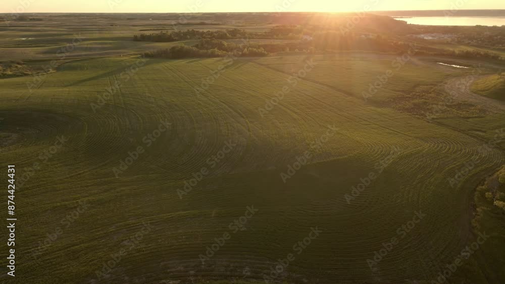 Wall mural aerial drone view of an agricultural landscape at sunset. the drone is moving forward and looking di