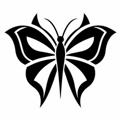 black butterfly isolated on white