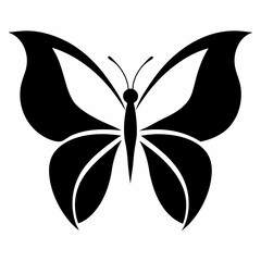 black butterfly isolated on white