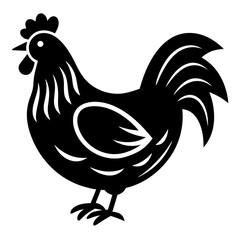 rooster isolated on white background