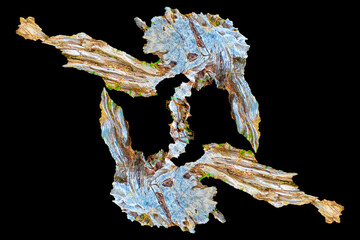 ROOTS ON BLACK BACKGROUND