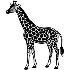 Elegant Vector Illustration of a Graceful Giraffe