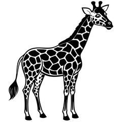 Obraz premium Elegant Vector Illustration of a Graceful Giraffe