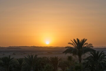 Scenic desert sunset with palm trees and distant mountains under a clear sky.