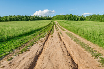 Road on the meadow at summer sunset.