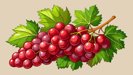 A cluster of ripe red grapes with green leaves on a plain background