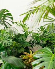 Environmental Health Day Spotlight Diverse Medicinal Plants in a Vibrant, Eco-Friendly Botanical Garden Setting