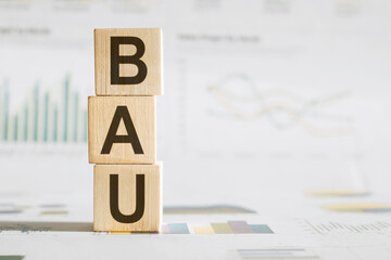 Cube wooden block with alphabet combine the word abbreviation BAU