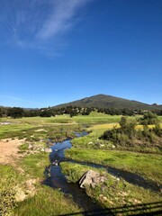 landscape with river