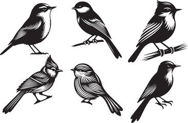 set of silhouettes of birds