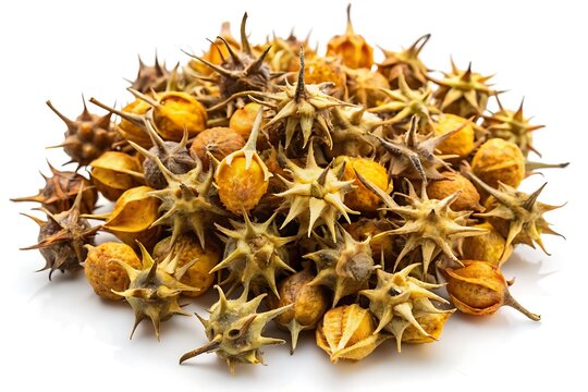 Dried Tribulus terrestris fruit scattered on a clean white background, its spiky yellow brown seeds and stems creating a natural, earthy, and organic composition.