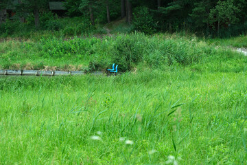 Blue pipes in a green meadow