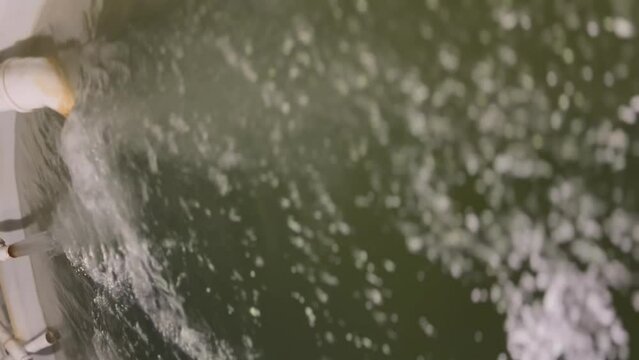 filtered water pours from plastic pipes into a pool of water where sturgeon are grown, the concept of breeding valuable species of commercial fish on an avk farm