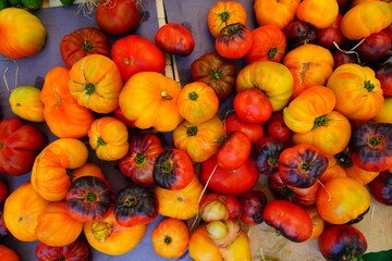 Crate of colorful organic red, yellow and black tomatoes at the farmers market