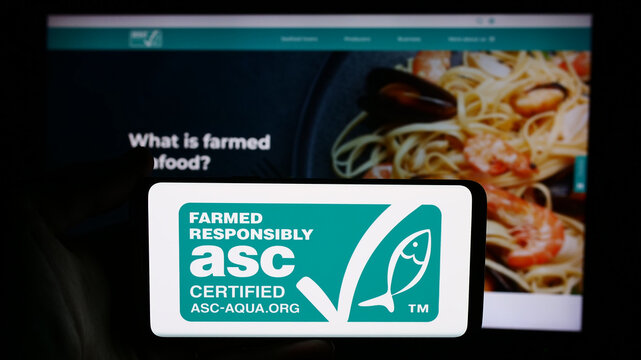Stuttgart, Germany - 07-01-2024: Person holding cellphone with logo of organisation Aquaculture Stewardship Council (ASC) in front of webpage. Focus on phone display.