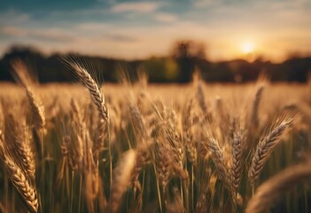 Naklejka premium AI generated illustration of a golden wheat field at sunset with a blurred background