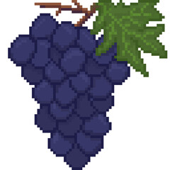 A retro-styled pixel-art illustration of a bundle of purple grapes.