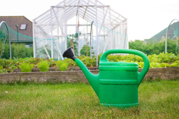 A green watering can standing on the ground, small greenhouse and young plant seedling in background © TatjanaMeininger
