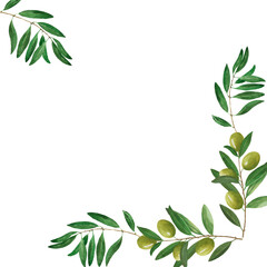 Square postcard with branches, green olive berries, leaves. Watercolor illustration isolated on white background. For menu, card, sticker, design