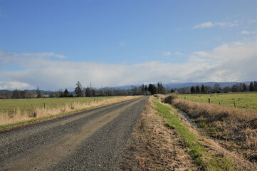 Oregon's Rustic Road: Marion County's Tranquil Journey