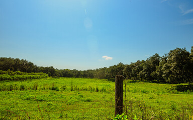 Countryside Central Florida Green Field