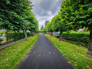 Footpath - Tree-Lined Path