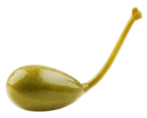 Caper isolated on white background, full depth of field