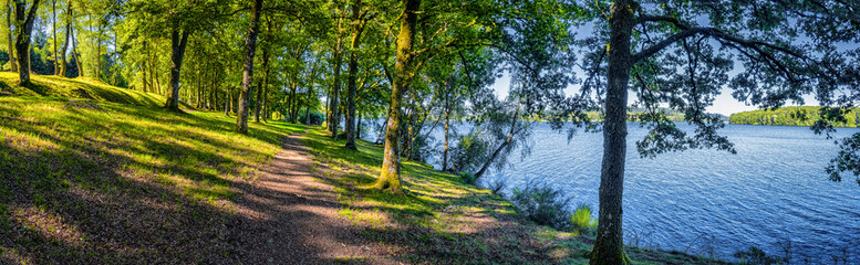 Landscape near Lac de Vassivière - Forest Path to Lake