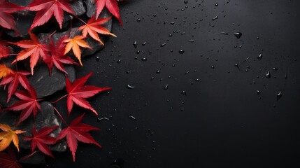 Autumn red leaves on wet black stone slab background
