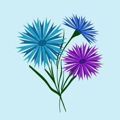 Obraz premium Bouquet of blue and purple field cornflowers. Beautiful flower with buds. Vector illustration. Belarusian style. For design, print and postcards.