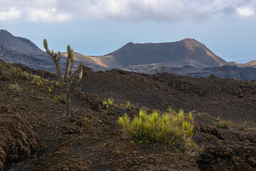 Paisaje volcánico desértico - Volcán Sierra Negra - Isla Isabela - Islas Galápagos - Ecuador