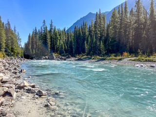 Kootenay River, British Columbia
