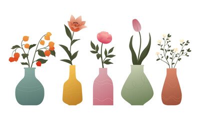 Various decorative plants in ceramic vases. Vector trend illustration with gradients isolated on white background. Lily, physalis, tulip, peony, branches with flowers.