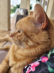 Titou © Laurie