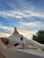 Détente  © Laurie