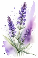 Lavender watercolor background. Delicate flower bouquet on a white background. Spring-summer banner template