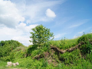 Green Hillside With Tree and Clouds