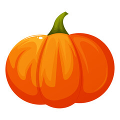 Big pumpkin design. Pumpkin harvest. Vector illustration of orange pumpkin