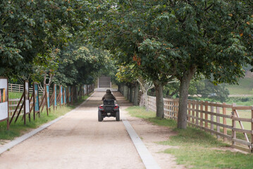Fototapeta premium Riding an ATV on a Scenic Country Path Surrounded by Trees and Wooden Fences