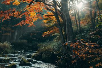 Obraz premium A forest with a stream running through it