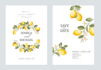 Wedding invitation. Lemon illustration. hand-drawn frame.