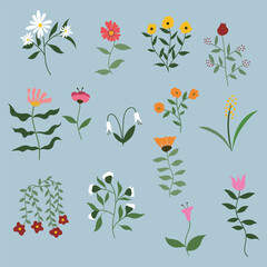 Spring flower and leaf illustration. Simple and flat design botanical flowers vector illustration set.