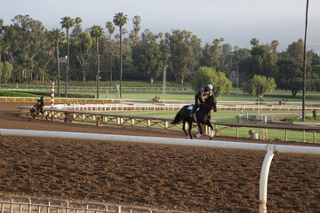 Horses Training at Santa Anita Racetrack
