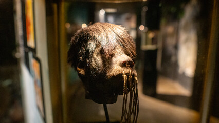Reduced head representation, technique used by tribes of the Amazon.