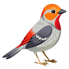 Verdin Vector Illustration Detailed Bird Art