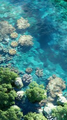 Aerial Perspective of Vibrant Tropical Coral Reef Ecosystem in Turquoise Ocean Waters