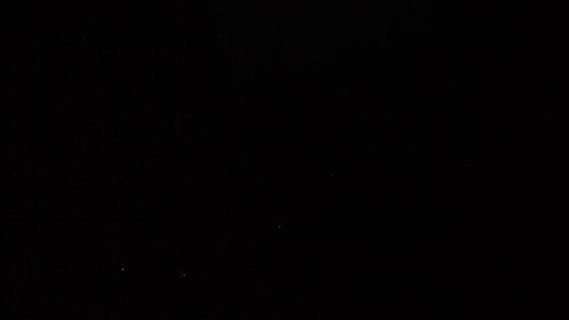 Tottori,Japan - July 1, 2024: Fireflies or Luciola cruciatas or Genji botaru flying over Obara river at Fukumaki Hotaru no Kuni, Tottori, Japan, 
