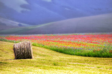Balla - Castelluccio