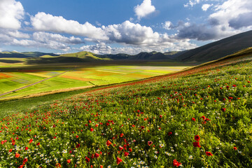 Castelluccio